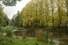 The lake in autumn (c) John Harradine